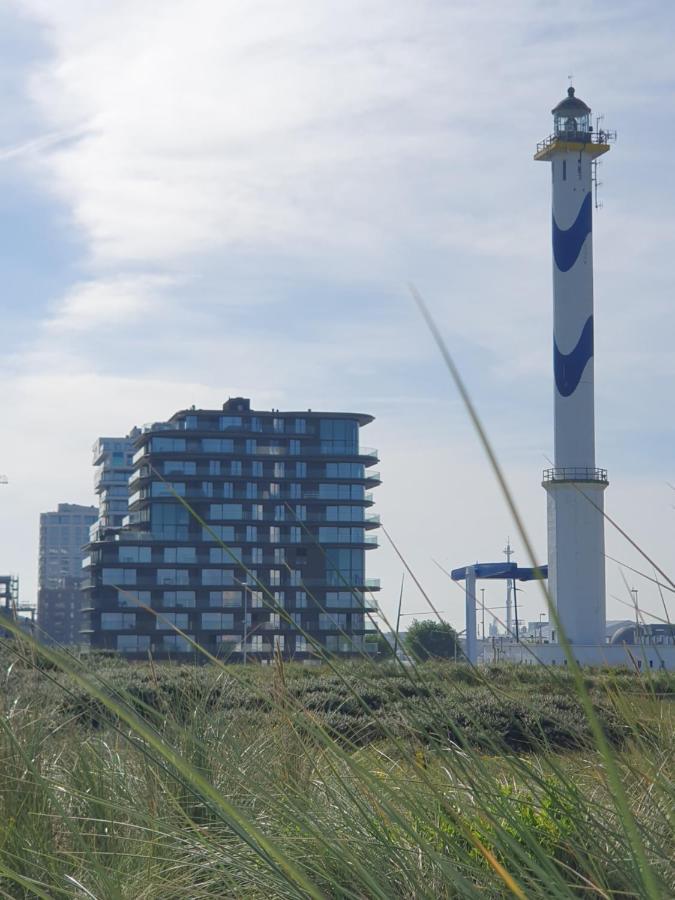 Park Tower Sea View With Pool And Gym Appartement *